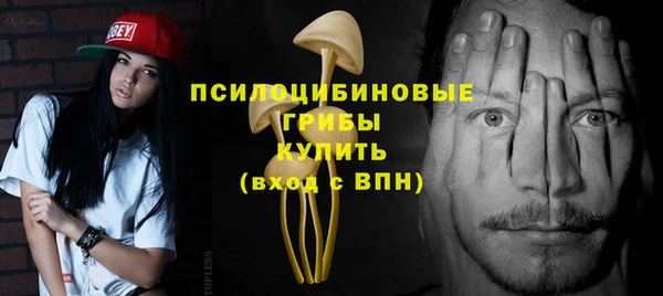 винт Осташков