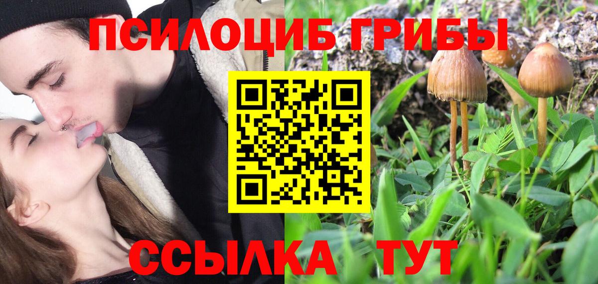 Псилоцибиновые грибы Cubensis Верхняя Салда